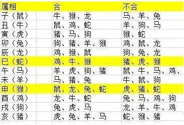 属羊和什么属相最相克