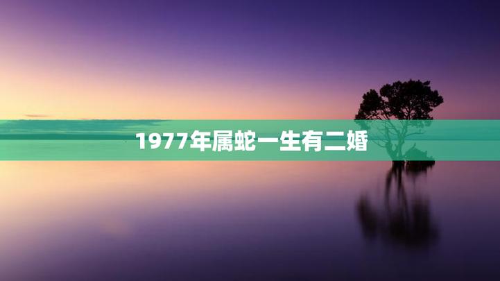 属蛇1977年四十以后婚姻如何