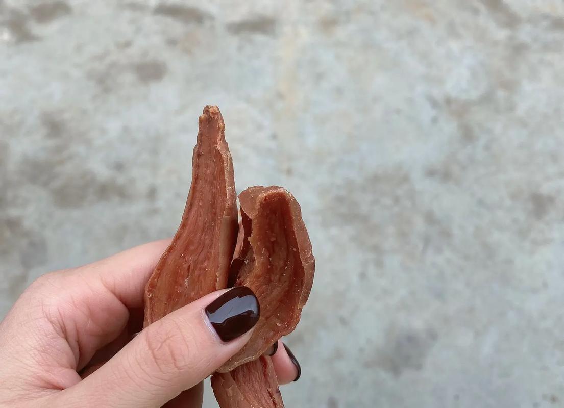 梦见拔鸭毛