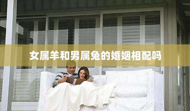 属兔女和属羊男的在一起适合做夫妻吗?