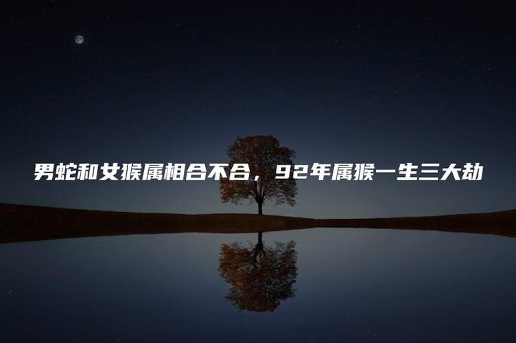 92年属猴一生三大劫