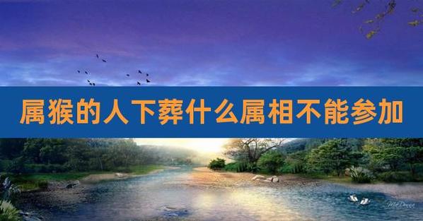 属猴前世是怎么死的