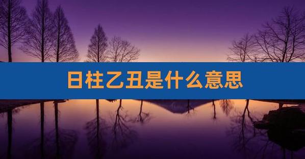 乙丑是什么意思