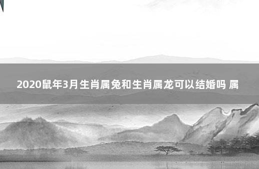2020鼠年3月生肖属兔和生肖属龙可以结婚吗,婚姻会不会幸福