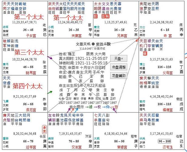 紫微斗数看极贵命格