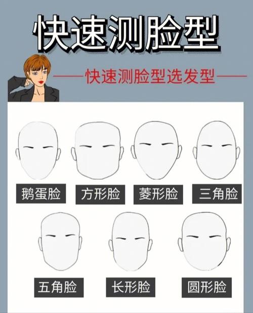 五官脸型分析app
