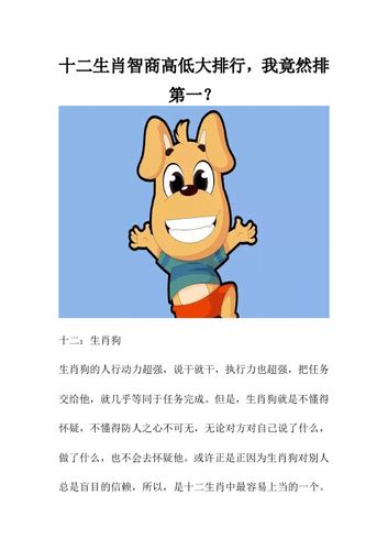 只有执行力缺乏创造力的五大生肖