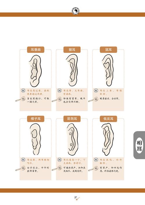 教你如何看相耳