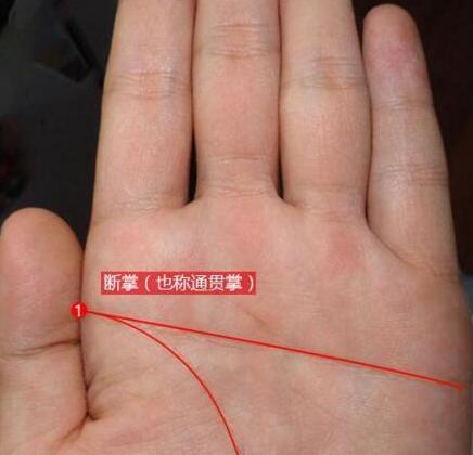 手相断掌的人,单断得横财,双断享富贵