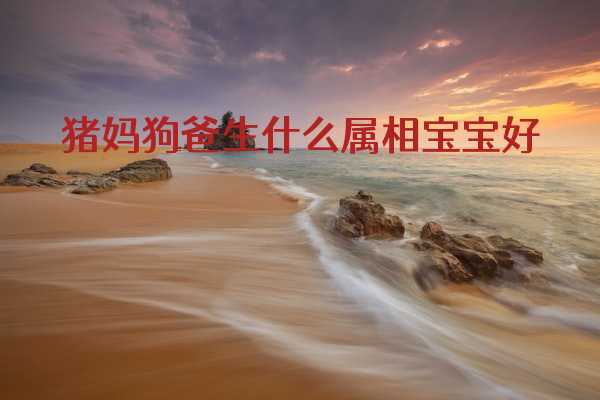 属狗爸爸2019年生猪宝宝好吗