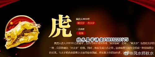属虎人在2019年的运势怎么样