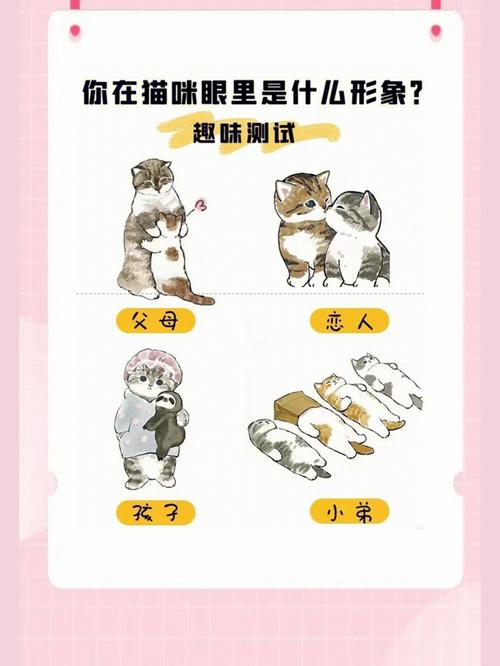 家庭在你心中的地位是怎样的?