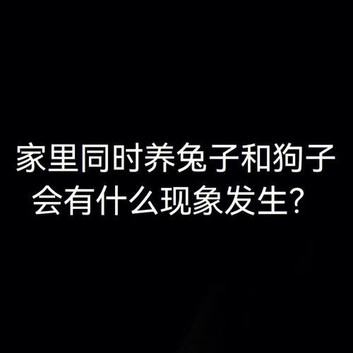 梦见养狗变成兔子