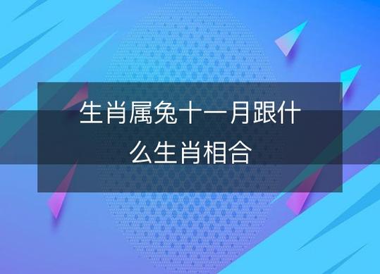 属兔的十一月出生好不好