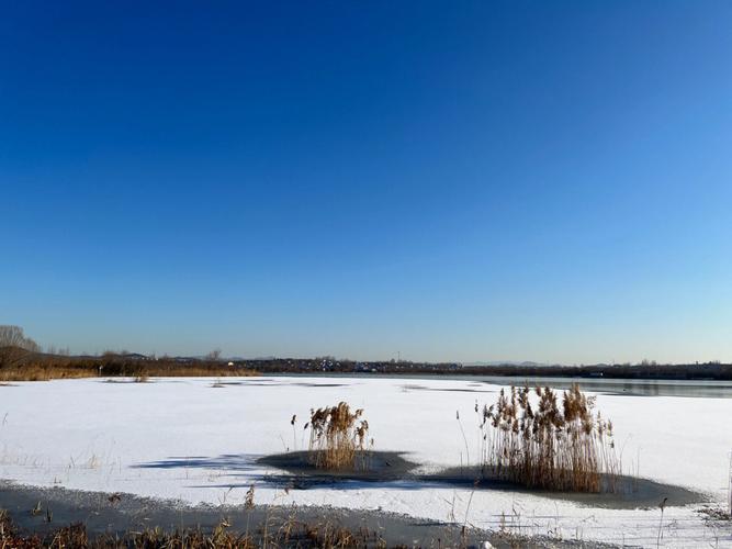 周公解梦之梦到在雪地里行走预示着什么