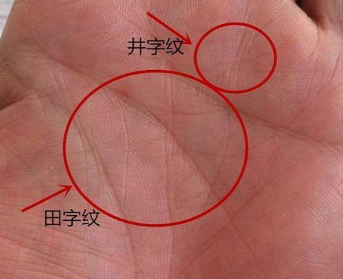分析井字纹和财富纹的手掌纹路