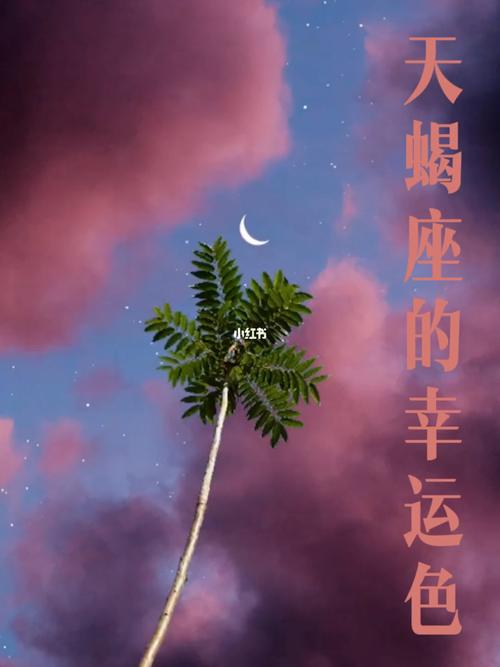 天蝎座的旅游幸运城市