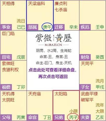 张盛舒 农历四月紫微运势排名