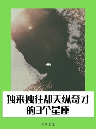 喜欢独来独往的三大星座