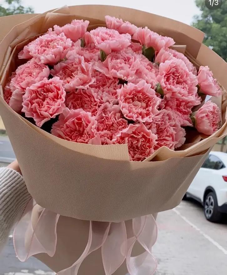 母亲节必送的康乃馨可以送女朋友吗