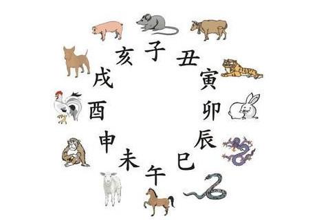 属鼠和属鼠情感合盘解析