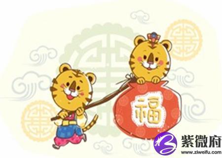 属虎一个人住会有什么想法