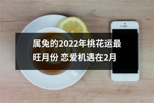 属兔2022年2月正桃花最旺