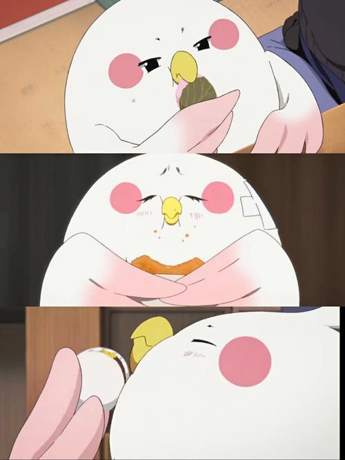 动漫迷 日常追番的生肖