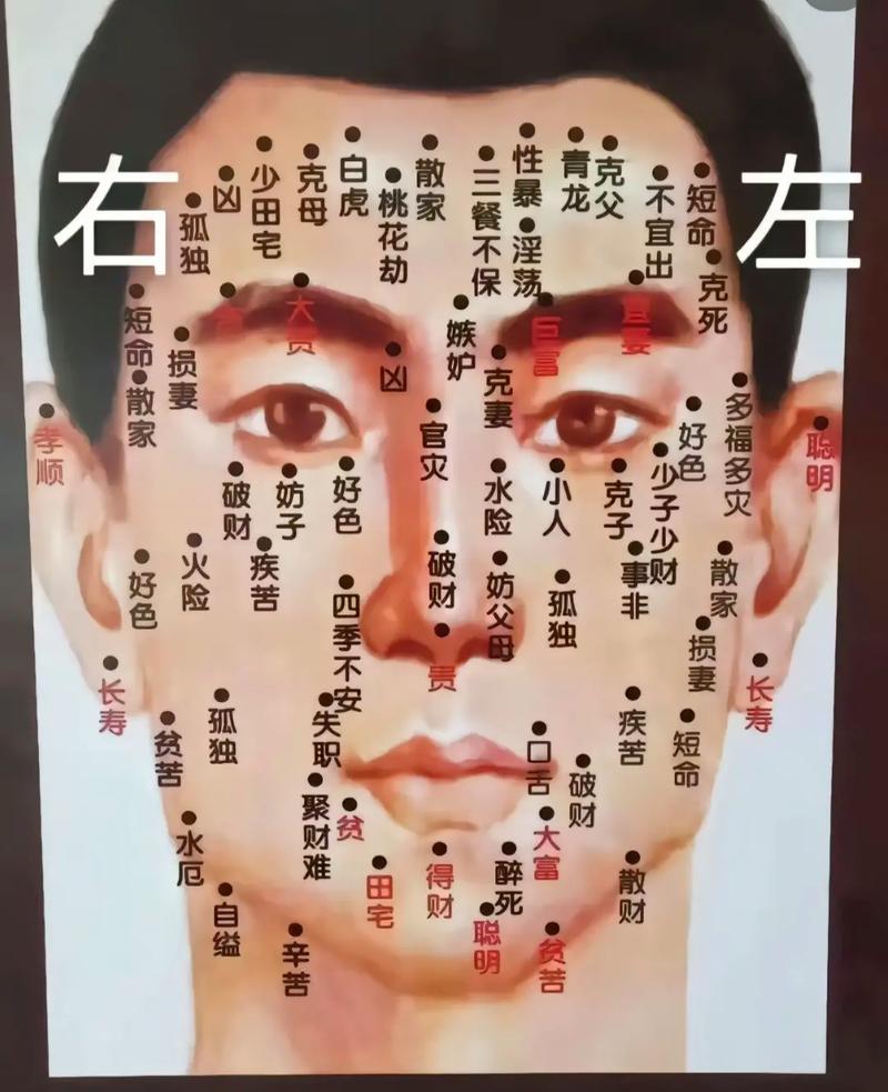 面痣吉凶图解 面痣吉凶图解