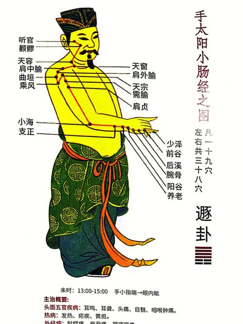 手部经络分为哪几个