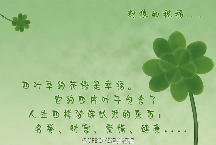 四叶草的唯美花语