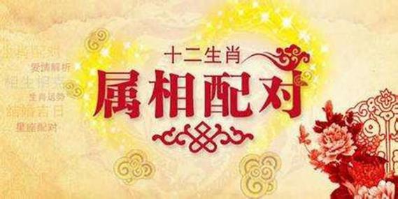 郑博士 属相1月情感怎样配对才好