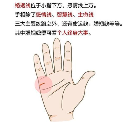 面相看你属于早婚还是晚婚