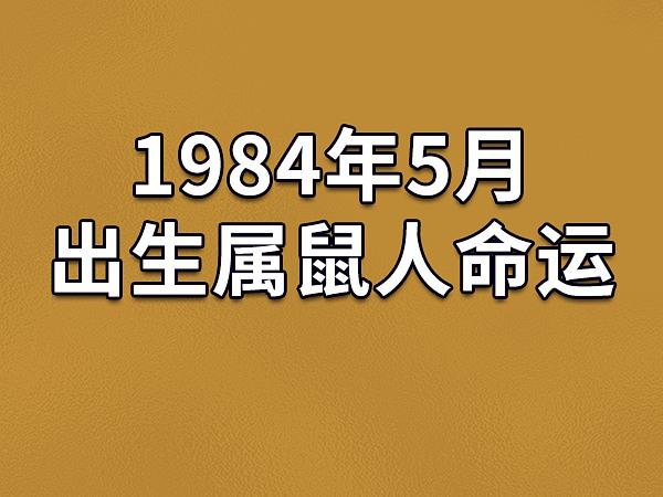 属鼠1984年5月份诞生的性情怎么样,一生运气分析!
