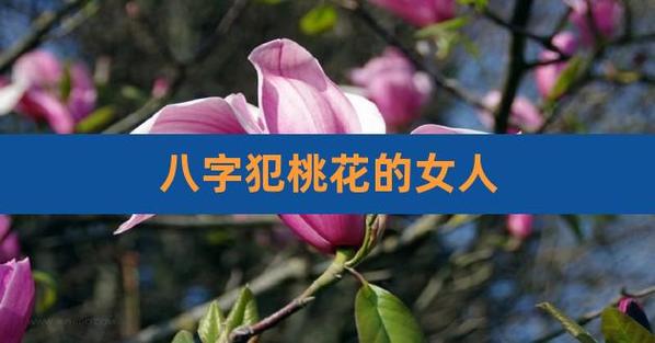 八字的桃花是什么,桃花命的人是什么样的