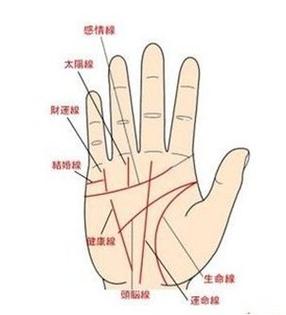 手相图解:生命线末端分叉是什么意思