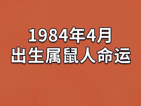 1984年出生的属什么属相