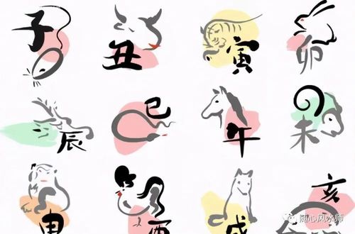 2021年属什么生肖