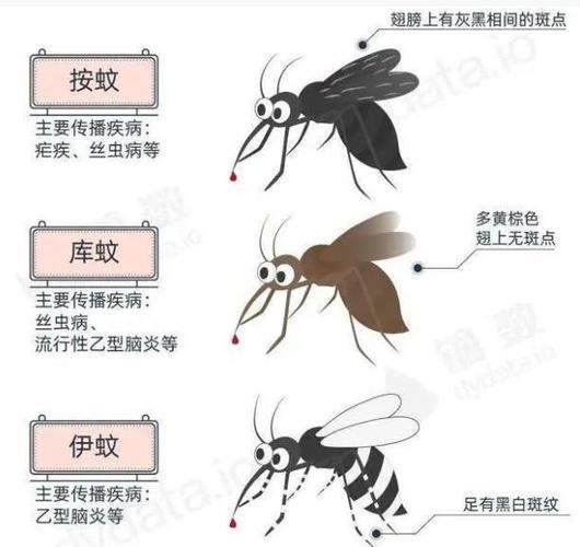 蚊子喜欢的血型是哪种