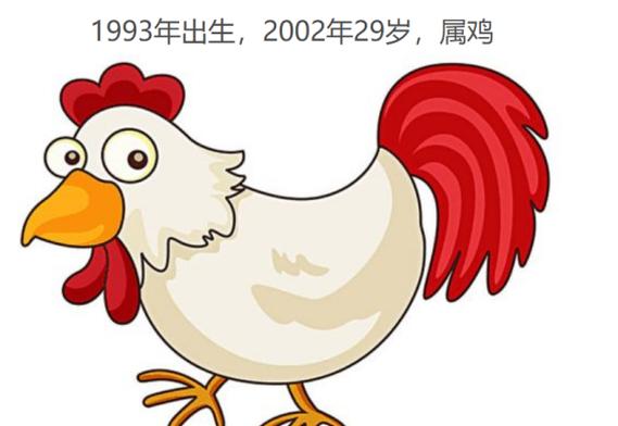 九三是属什么的,1993年生肖属什么