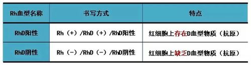 rh阴性血人寿命