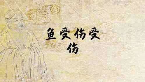 梦见鱼受伤
