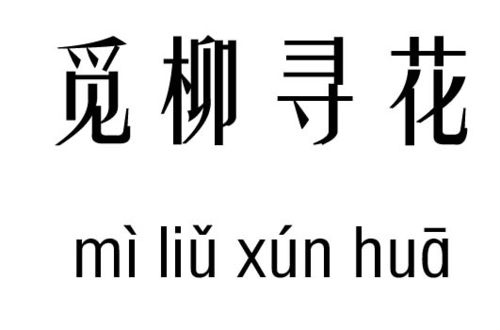 寻花觅柳五行吉凶_寻花觅柳成语故事