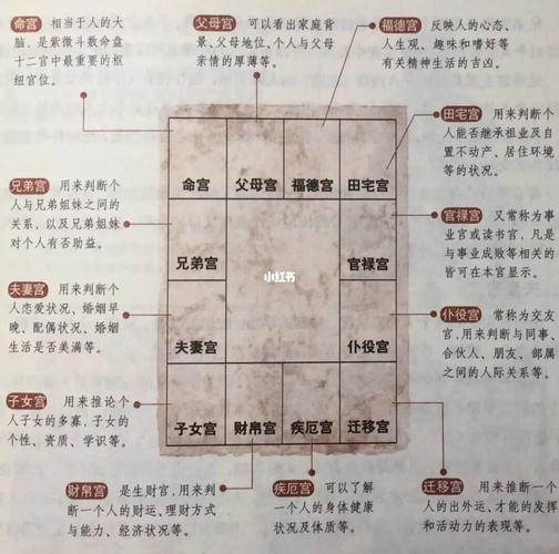 紫微斗数算命推断疾病的症状(一)