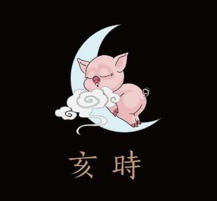 亥时出生的人命运