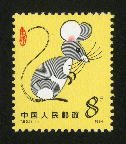 甲子年属什么生肖