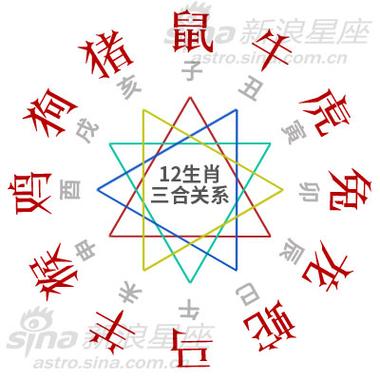 哪些生肖组合易发生矛盾