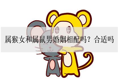 属猴女和属鼠男结婚会离婚吗?属猴人容易离婚吗?