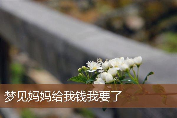 梦见妈妈拿我的钱
