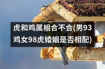 1993年鸡和1998年虎合不合
